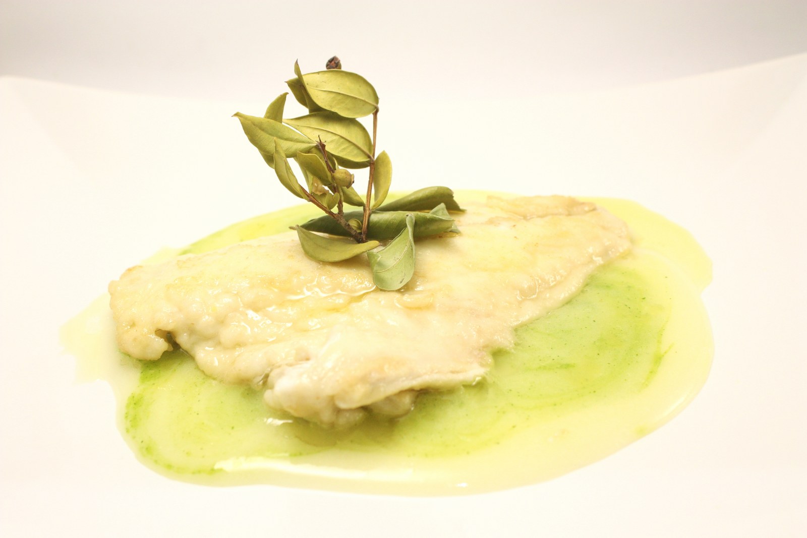 Scaloppina di orata al vino bianco su vellutata di patate e zucchine